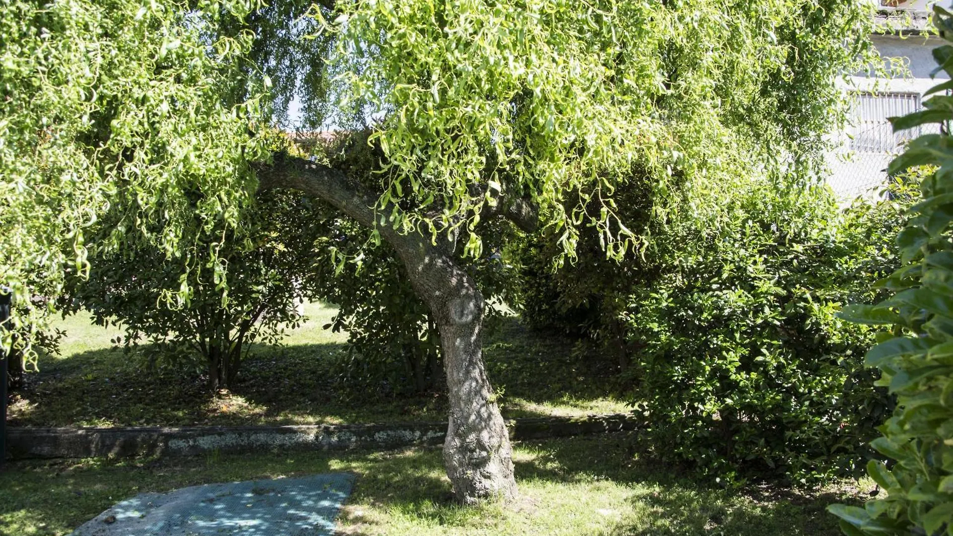 La Piccola Casa Daire Luino İtalya